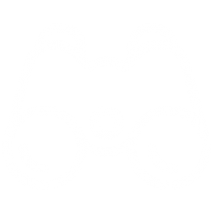Logotipo visión KOM