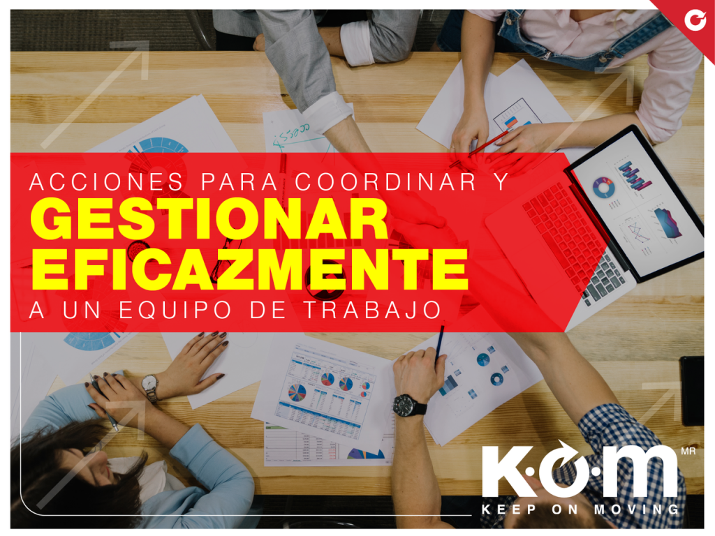 gestionar equipo de trabajo